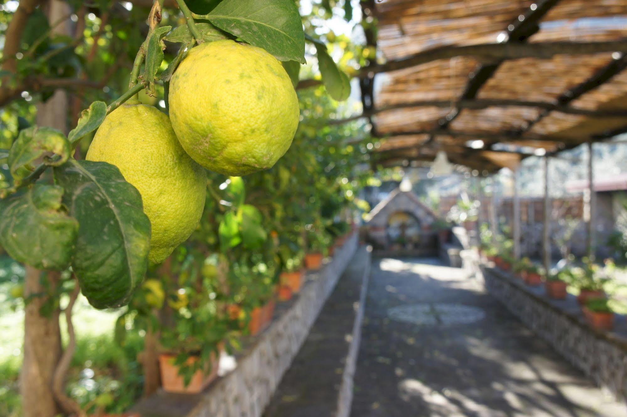 مبيت وإفطار ماسّا لوبْرينسِ San Francesco Relais المظهر الخارجي الصورة
